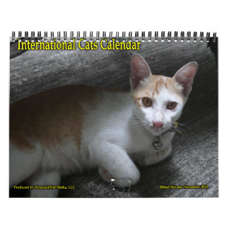 Internationell Cats Calendar Kalender