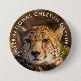 Internationell Cheetah Day Knapp