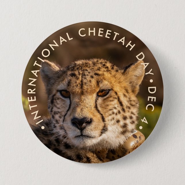 Internationell Cheetah Day Knapp (Framsida)