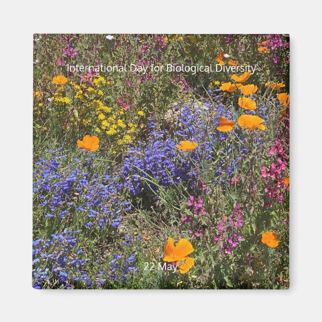 Internationell-dagen för biologisk mångfald magnet (Framsidan)