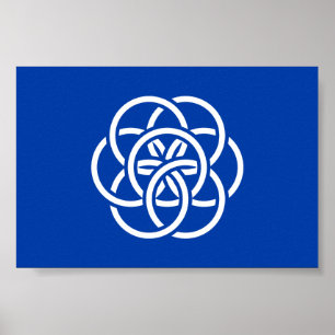 Internationell Flagga av Planet Earth Poster