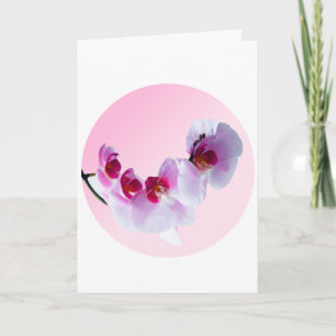 Internationell kvinnodag. kort