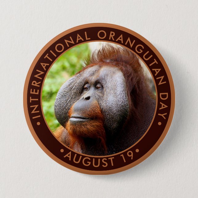 Internationell Orangutan Day Knapp (Framsida)