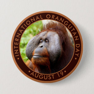 Internationell Orangutan Day Knapp