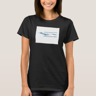 Internationell Sava River Basin Commission Flagga T Shirt