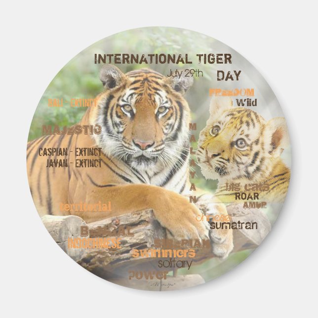 Internationell tigerdagen den 29 juli, Typografi A Magnet (Framsidan)