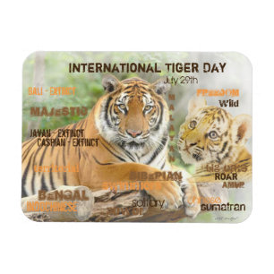 Internationell tigerdagen den 29 juli, Typografi A Magnet