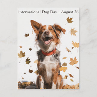 Internationella Hunddagen Australian Shepherd Kons Helg Vykort