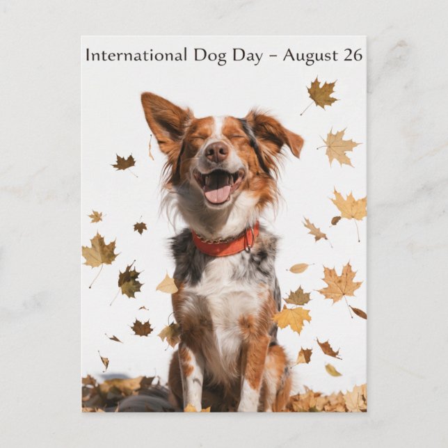 Internationella Hunddagen Australian Shepherd Kons Helg Vykort (Framsida)