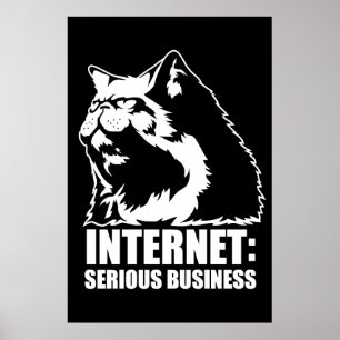 Internet: Allvarlig affär (rolig tshirt för Poster