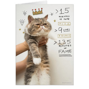 Internet Cat Celeberity Hälsningskort