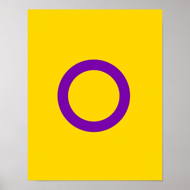 INTERSEX STOLTHET POSTER (Framsidan)