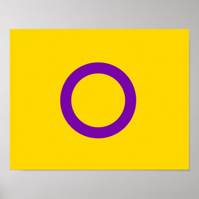INTERSEX STOLTHET POSTER (Framsidan)