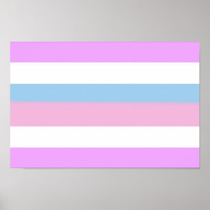 Intersex stolthetsflagga poster