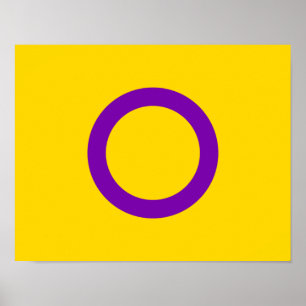 Intersex stolthetsflagga poster