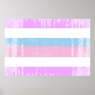Intersex stolthetsflagga poster