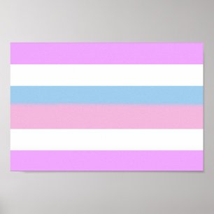 Intersex stolthetsränder poster