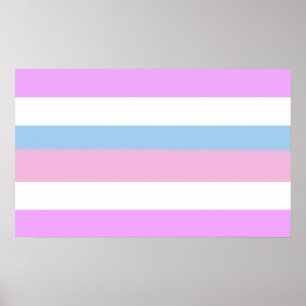 Intersex stolthetsränder poster