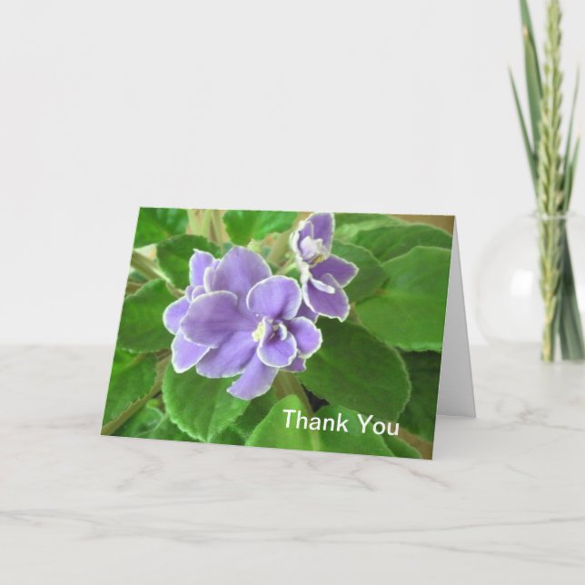 Intervju Tack Kort (Framsida)