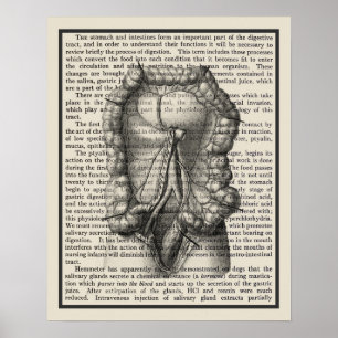 Intestines Anatomy Art Skriv ut #8 Medicinsk dekal Poster