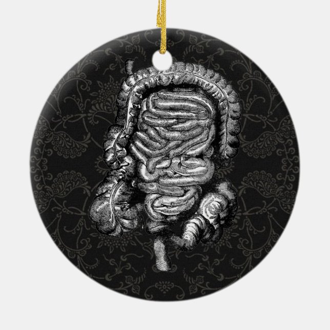 INTESTINES DIAGRAM-VINTAGE JULGRANSPRYDNAD KERAMIK (Baksidan)