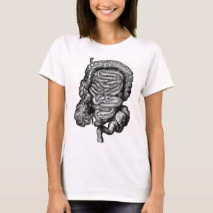 INTESTINES DIAGRAM-VINTAGE TEE SHIRT