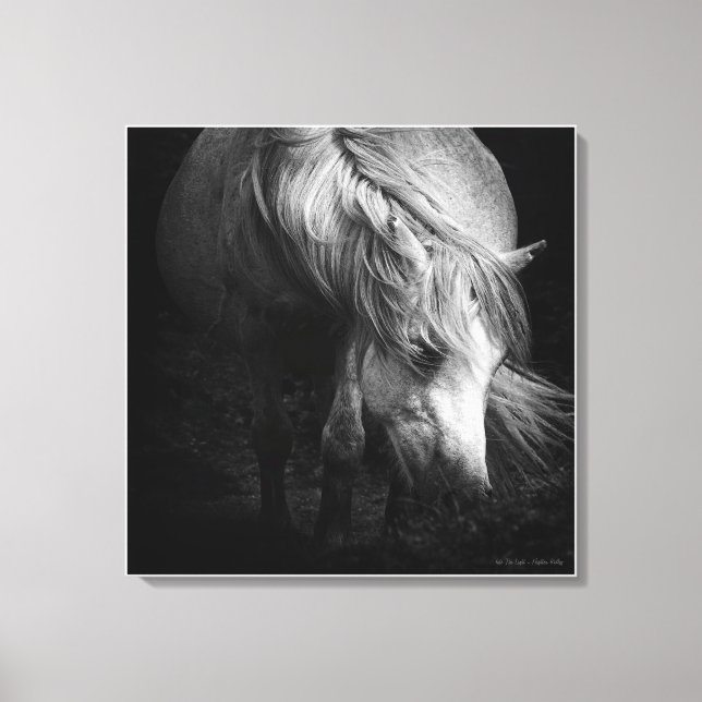 Intill Light - Dartmoor Pony, bra art Canvastryck (Framsida)