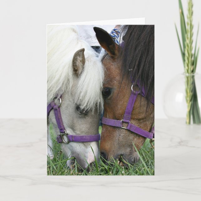 Intim leverantör kort (Framsida)