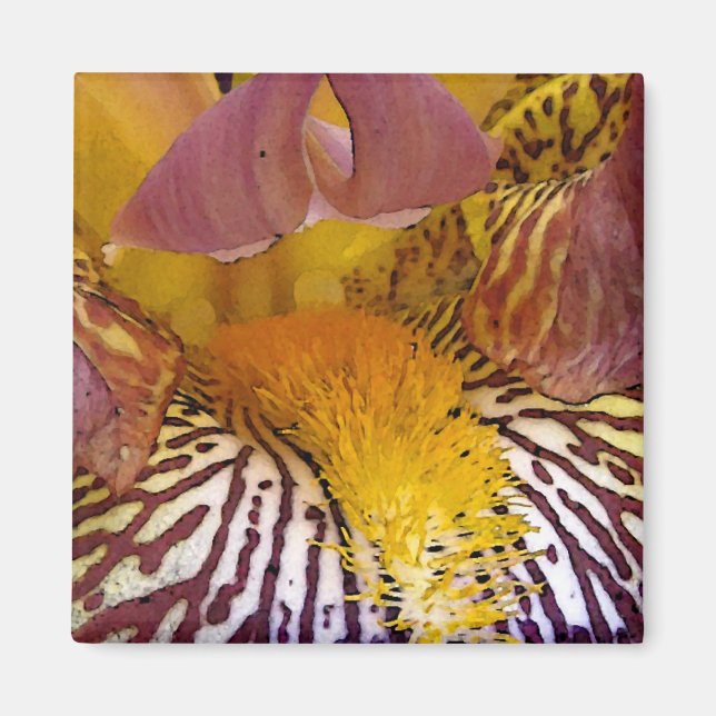 Intimate Iris Magnet (Framsidan)