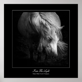 Into the Light - Dartmoor Pony Poster