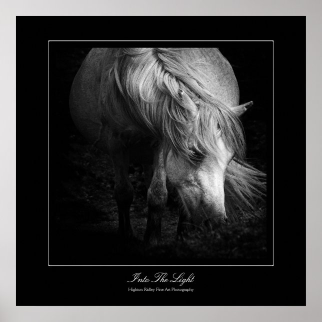 Into the Light - Dartmoor Pony Poster (Framsidan)