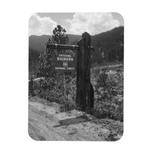 Inträde i Bighorn National Forest 1959 Sign Magnet