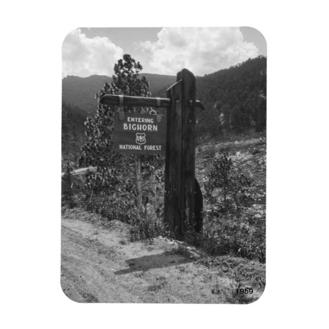 Inträde i Bighorn National Forest 1959 Sign Magnet (Vertikal)