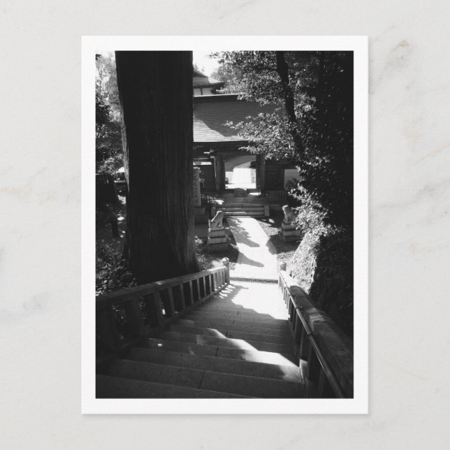 Inträde i Yakuo-in-templet, Mount Takao: Japan Po Vykort (Framsida)
