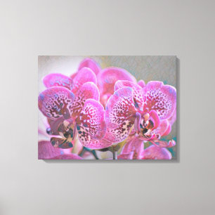 Intrånga glasorchider Wrapped Canvas