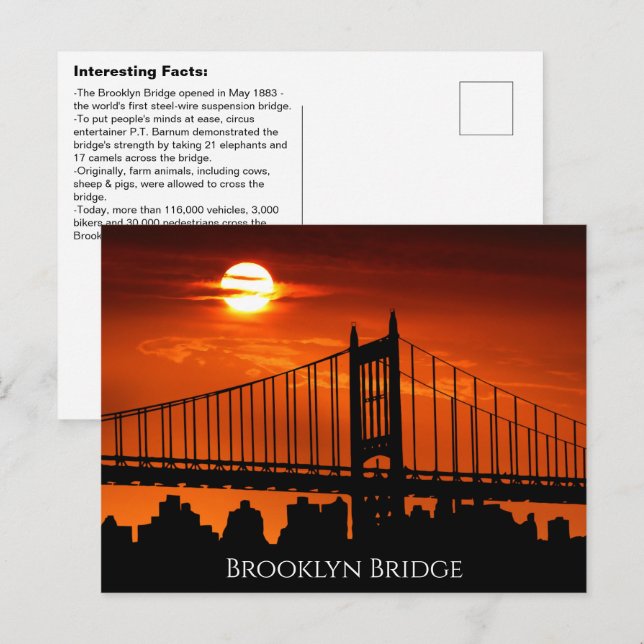 Intressant Brooklyn Bridge-fakta Vykort (Fram/baksida)