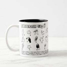 Intressant Manateesmugg Två-Tonad Mugg