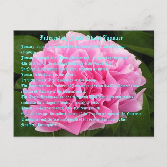 Intressanta fakta om januari vykort (Framsida)