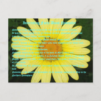 Intressanta fakta om november vykort