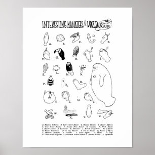 Intressanta manatestrar Poster