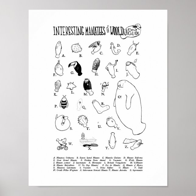 Intressanta manatestrar Poster (Framsidan)
