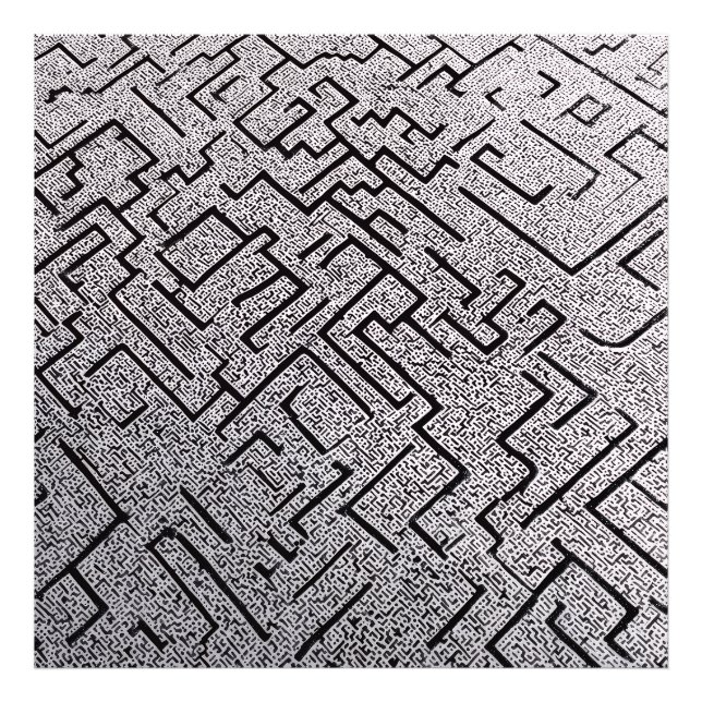 Intricate Black & White Labyrinth Maze Fototryck (Framsidan)