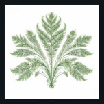 Intricate Botanical Symmetry: Fractal Flora Poster<br><div class="desc">An exquisite Fractal Flora illustration featuring intricate,  symmetrical botanical line art. The design explicitly showcases the recursive growth patterns of nature,  such as fern fronds or flower petals arranged in a precise mathematical sequence. Perfect for detailed prints,  elegant apparel,  and nature enthusiasts.</div>