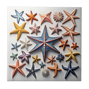 Intricate Starfish Line Art Kakelplatta
