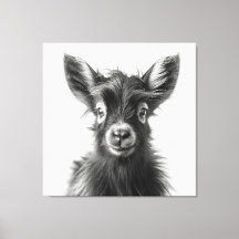 Intriguerande monokromatiskt Harmonious Baby Goat