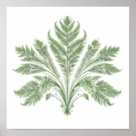 Intrikat botanisk symmetri: Fraktal flora Poster