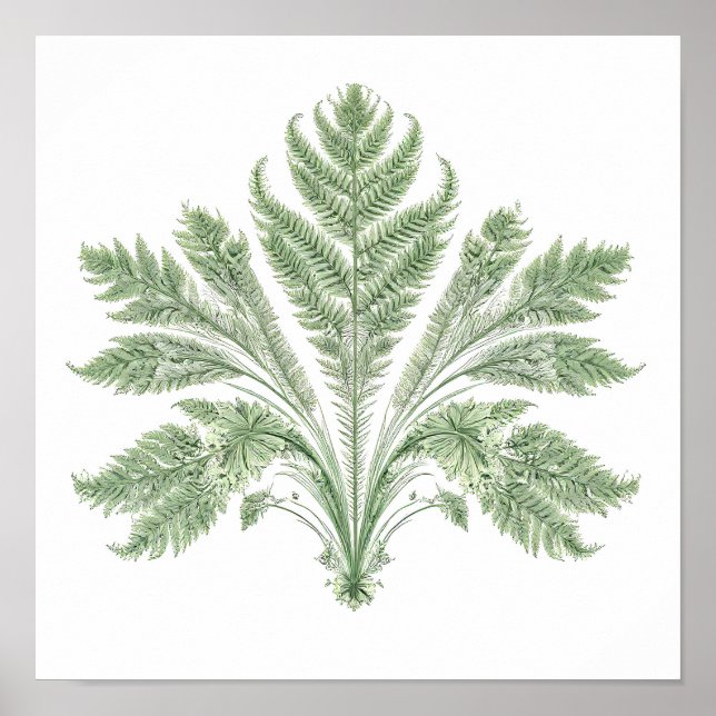 Intrikat botanisk symmetri: Fraktal flora Poster (Framsidan)