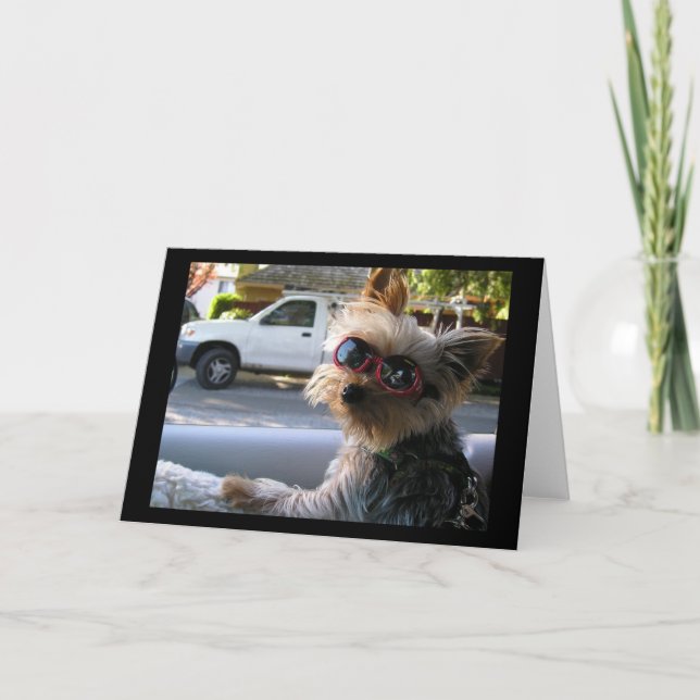 Introduktion:JACK! Kort (Framsida)