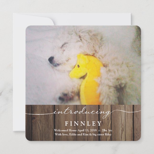 Introduktion till nytt sällskapsdjur | Meddelande  (Framsida)