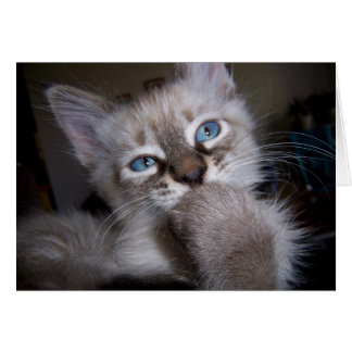 Introspective tänkare hälsningskort